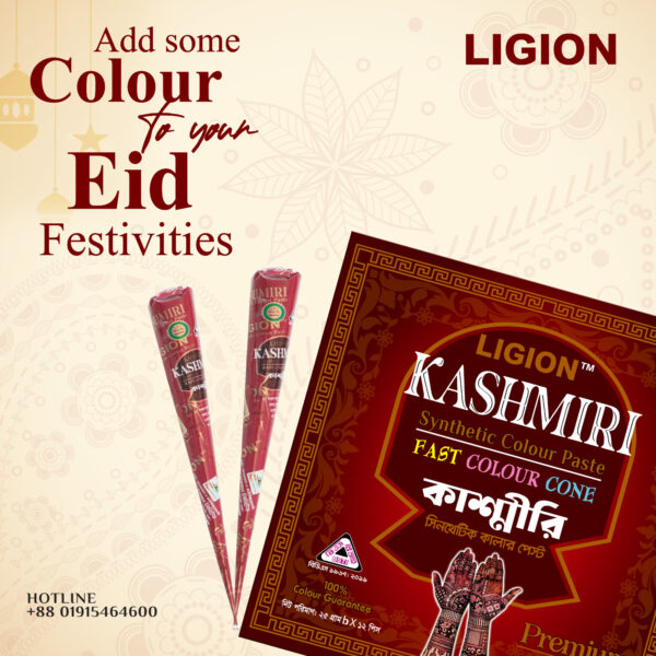 Ligion Kashmiri Cone Mehedi